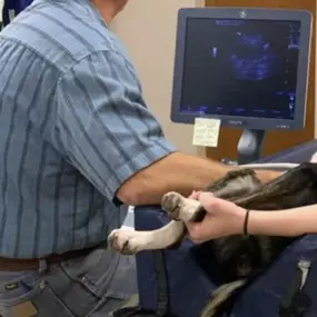 Bild von Meridian Veterinary Hospital