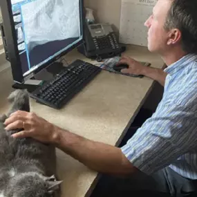 Bild von Meridian Veterinary Hospital