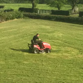 Bild von Cheshire Landscape Gardener