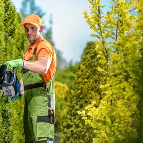 Bild von Gartenprofi Elegant