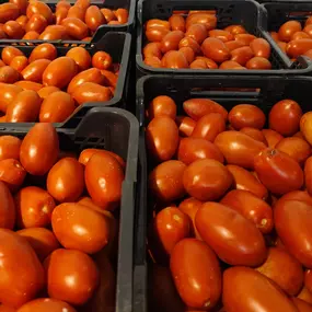 Bild von Don Ramón Almacén al por mayor de Fruta y Verdura en Valencia