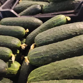 Bild von Don Ramón Almacén al por mayor de Fruta y Verdura en Valencia