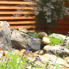 Bild von ITM Landscape