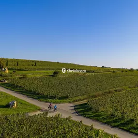 Bild von SINGERFISCHER DESIGN