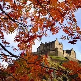 Bild von Property Repair