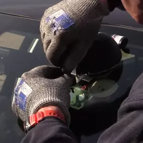 Bild von Windscreen Services