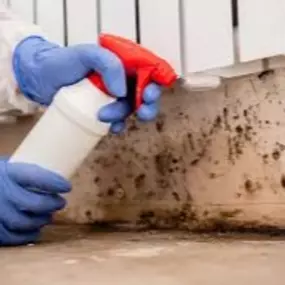 This image is excellent for promoting your services beyond fire restoration, specifically for mold remediation, which is a common issue in humid climates like Houston, Texas