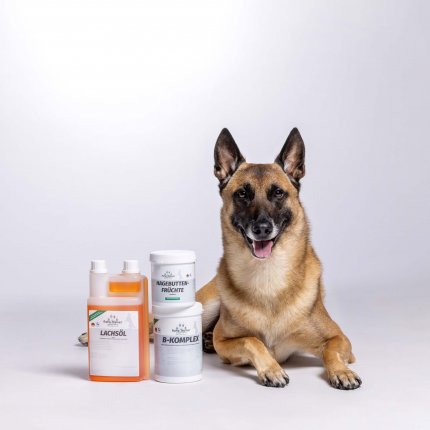 Dogs Reha - Nahrungsergänzung für Hunde