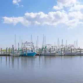 Located Near the Bucktown Marina