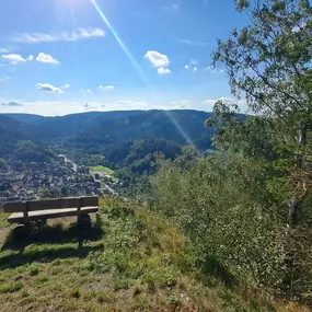 Bild von My Velo - Coaching