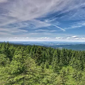 Bild von My Velo - Coaching