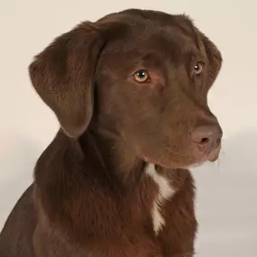 Bild von Fotostudio Schaller