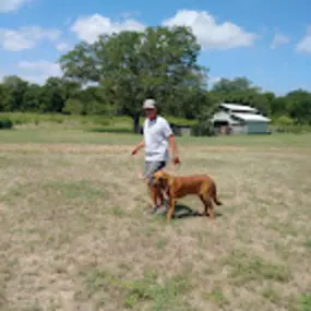 Bild von Red Iron Kennels