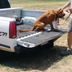 Bild von Red Iron Kennels