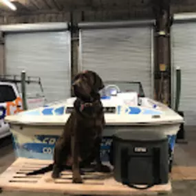 Bild von Red Iron Kennels