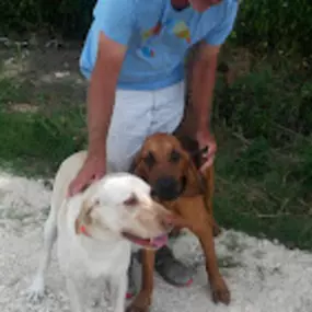 Bild von Red Iron Kennels