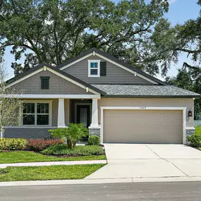 Bild von Pinecone Reserve by William Ryan Homes