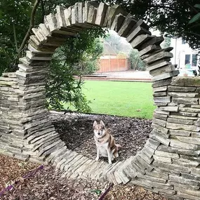 Bild von Surrey Landscapers