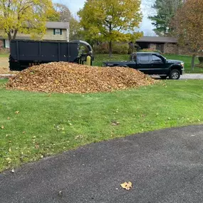 LAWN MAINTENANCE Photo