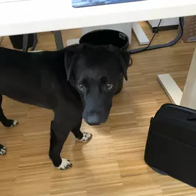 Bild von P-Call GmbH & Co. KG