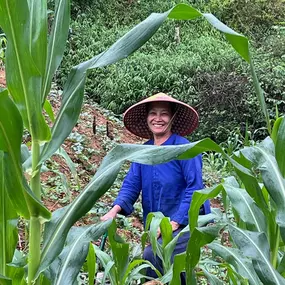 Bild von Voyages en Indochine