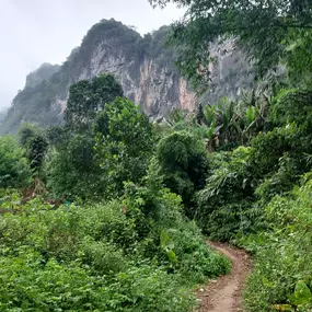 Bild von Voyages en Indochine