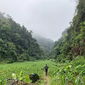 Bild von Voyages en Indochine