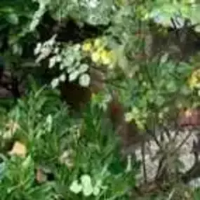 Bild von RTH Property Services