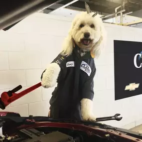 Bild von Classic Chevrolet Buick GMC of Cleburne