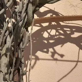 Bild von M services paca