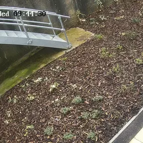 Bild von Secure Systems 365