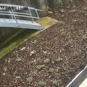 Bild von Secure Systems 365