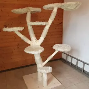 Bild von Mos Naturstammdesign/Kratzgalerie