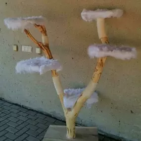 Bild von Mos Naturstammdesign/Kratzgalerie