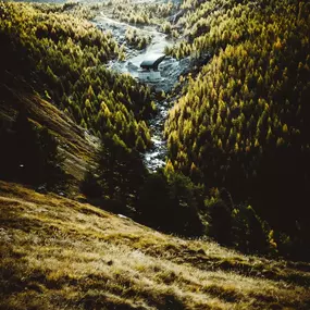 Bild von Hotel Mountime