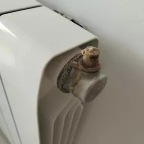 Bild von premiummanteniment.com