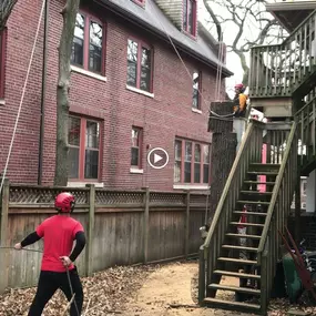 Bild von Vineland Tree Care