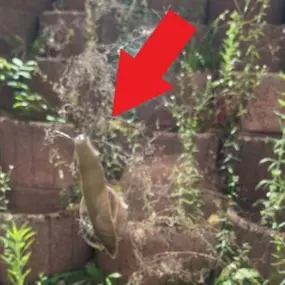 Bild von Gebäudereinigung Giuseppe Musso Moers Die Kunst des Reinigens