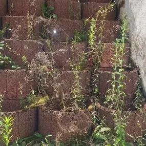 Bild von Gebäudereinigung Giuseppe Musso Moers Die Kunst des Reinigens