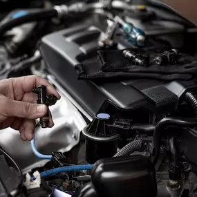 Bild von The Shop Automotive LLC