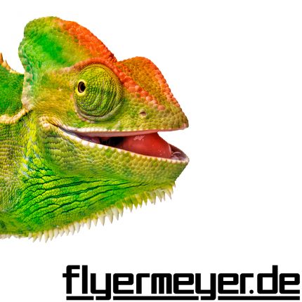 Logo fra Flyermeyer Print Produktion GmbH & Co. KG