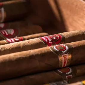 Bild von THE HOUSE OF GRAUER