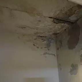 Bild von RG Handyman Services