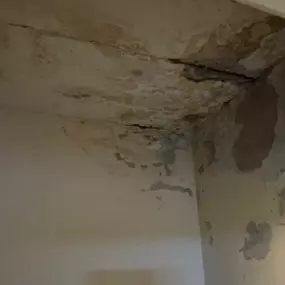 Bild von RG Handyman Services