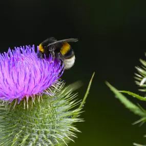 Bild von picturesbygj