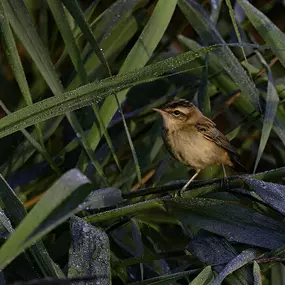 Bild von picturesbygj