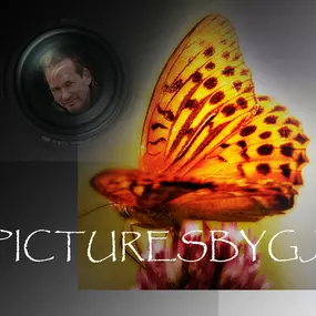 Bild von picturesbygj