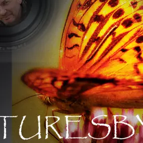 Bild von picturesbygj