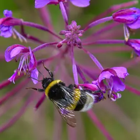 Bild von picturesbygj