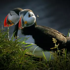 Bild von picturesbygj